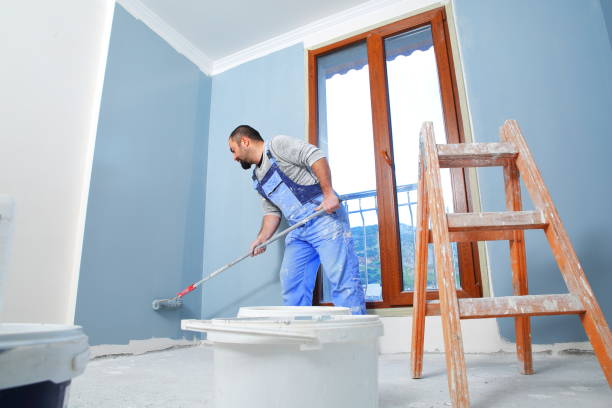 Best Eco-Friendly and Low-VOC Painting  in USA